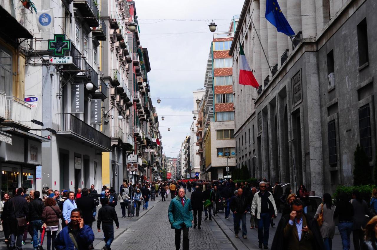 About Toledo Napels